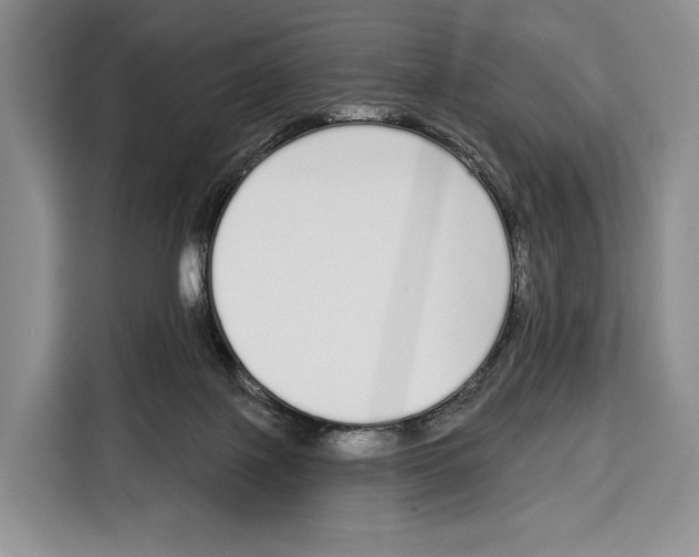 X0000115110075200911241335