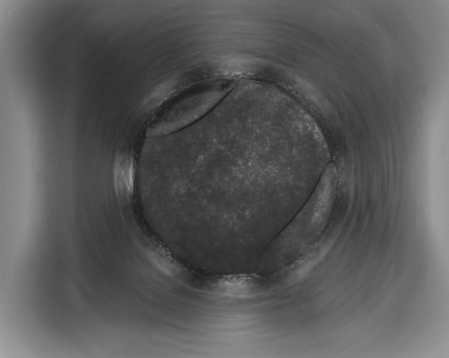 X0000115110076200911241336