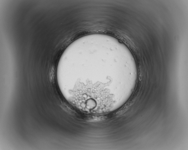 X0000115110077200911241336