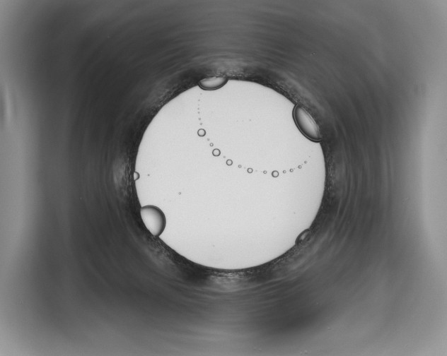 X0000115110079200911241336