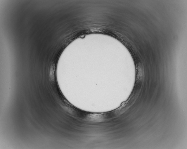 X0000115110082200911241336