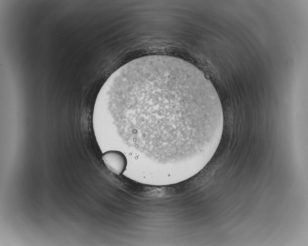 X0000115110083200911241336