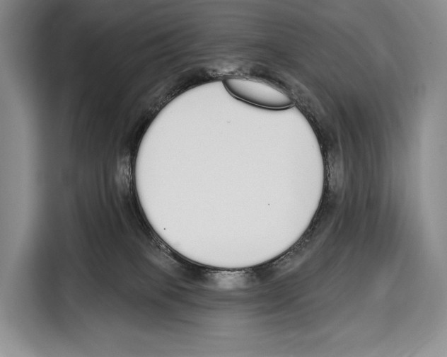 X0000115110085200911241336