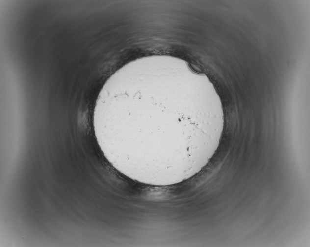 X0000115110088200911241336