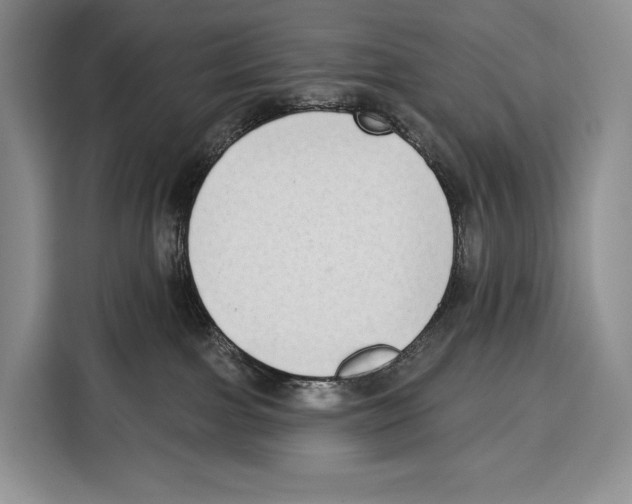 X0000115110091200911241336