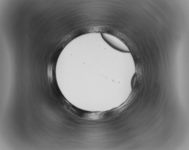 X0000115110094200911241336