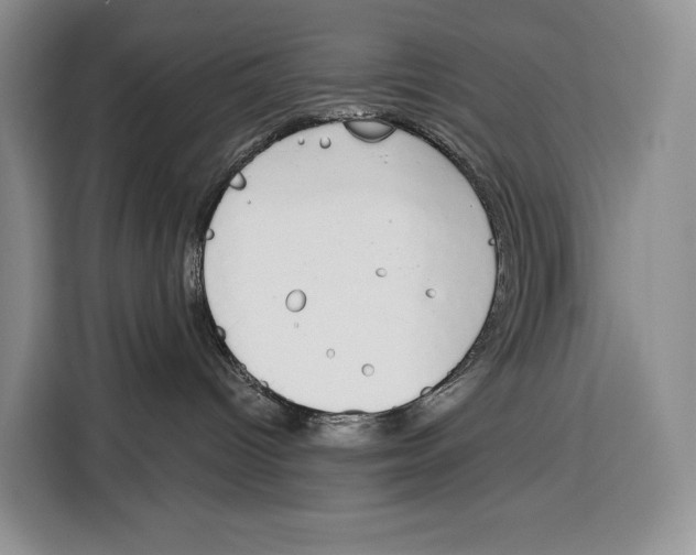 X0000115110096200911241336