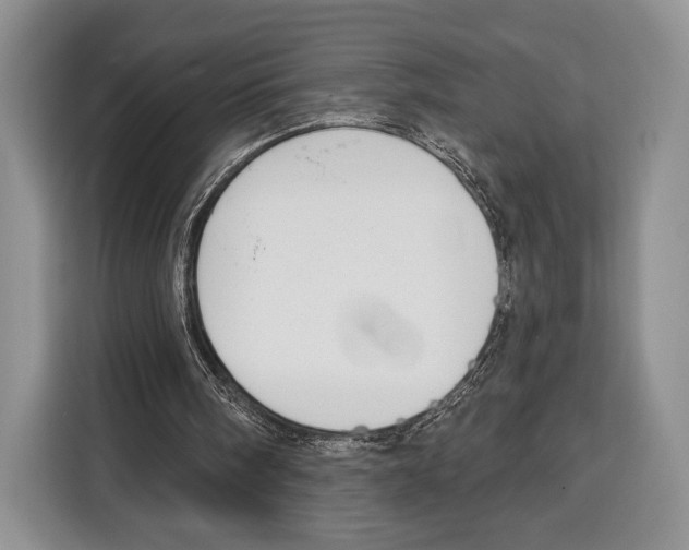 X0000115110098200911241335