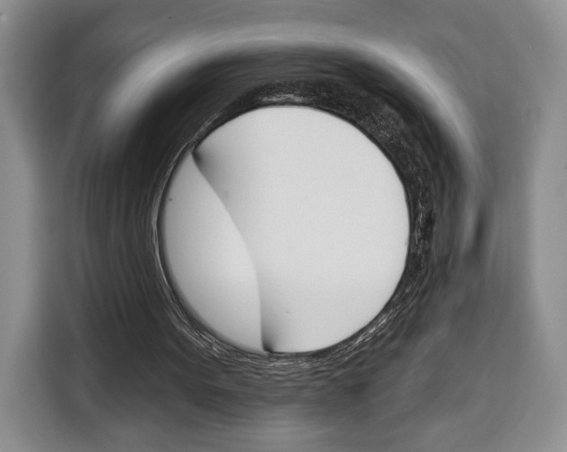 X0000115110099200911241335