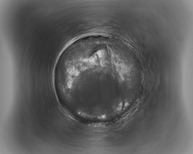 X0000115110100200911241335