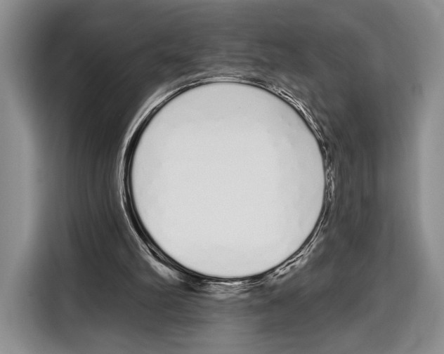 X0000115110102200911241335