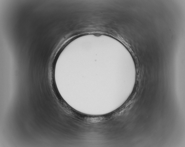 X0000115110103200911241335