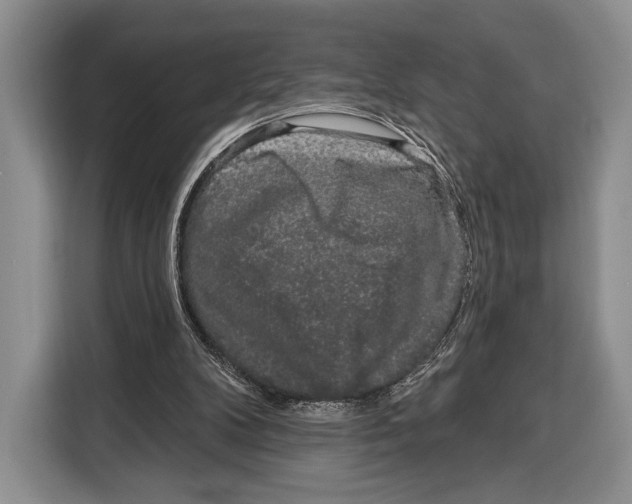 X0000115110104200911241335