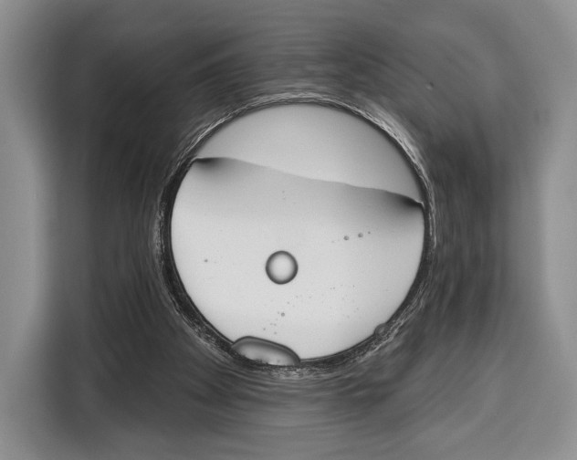 X0000115110105200911241335