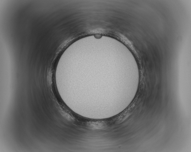 X0000115110106200911241335