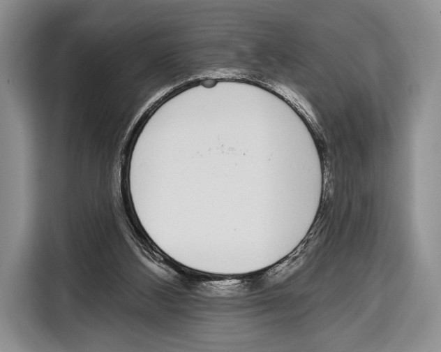 X0000115110108200911241335