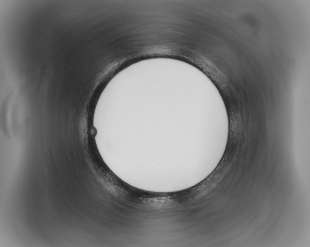 X0000115110112200911241335