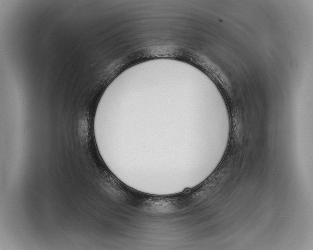 X0000115110113200911241335