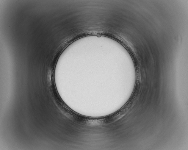 X0000115110115200911241335