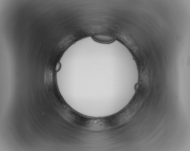 X0000115110117200911241335