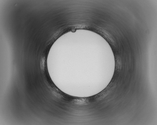 X0000115110118200911241335