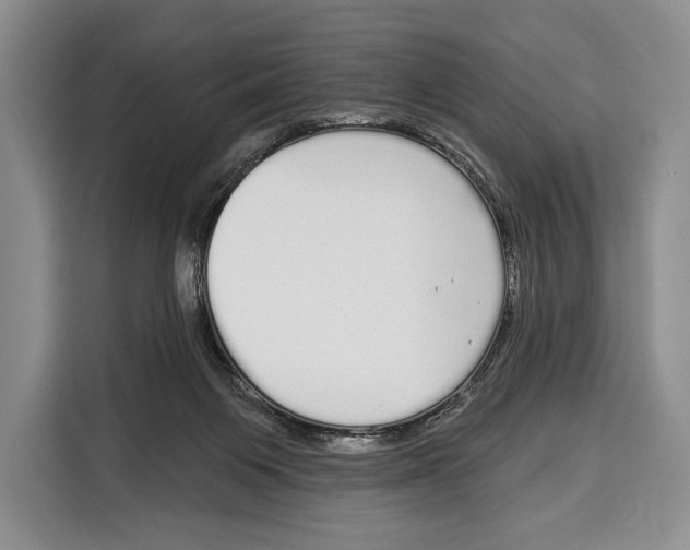 X0000115110119200911241335