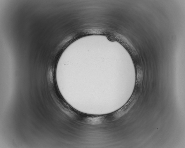 X0000115110120200911241335