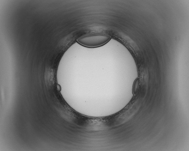 X0000115110121200911241335