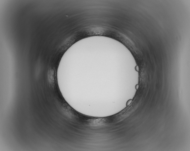 X0000115110122200911241335