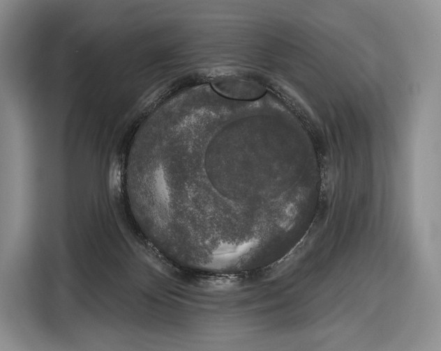 X0000115110124200911241335