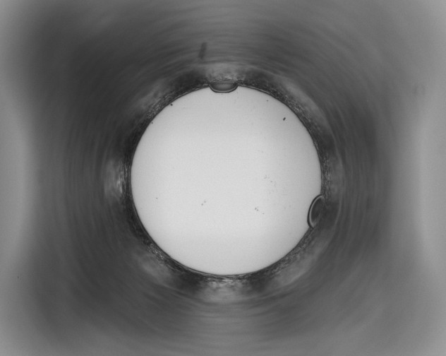 X0000115110125200911241335