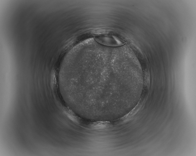 X0000115110128200911241335