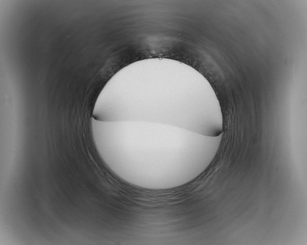 X0000115110129200911241335