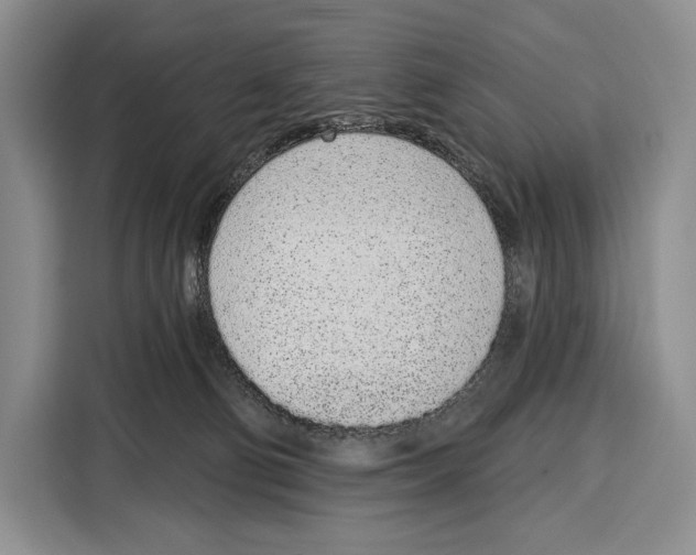 X0000115110130200911241335