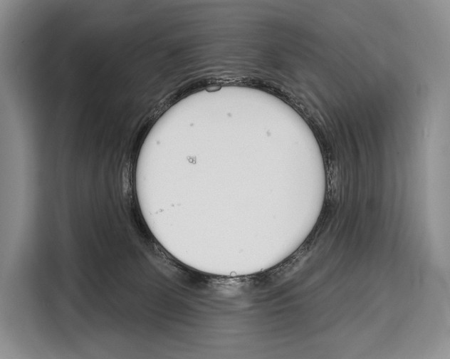 X0000115110131200911241335