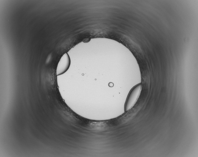 X0000115110133200911241335