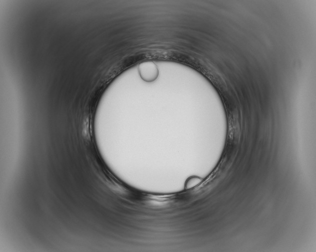 X0000115110134200911241335