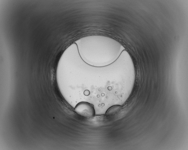 X0000115110135200911241335