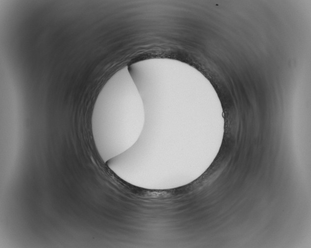 X0000115110137200911241335