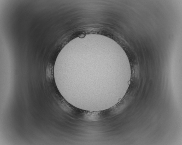 X0000115110138200911241335