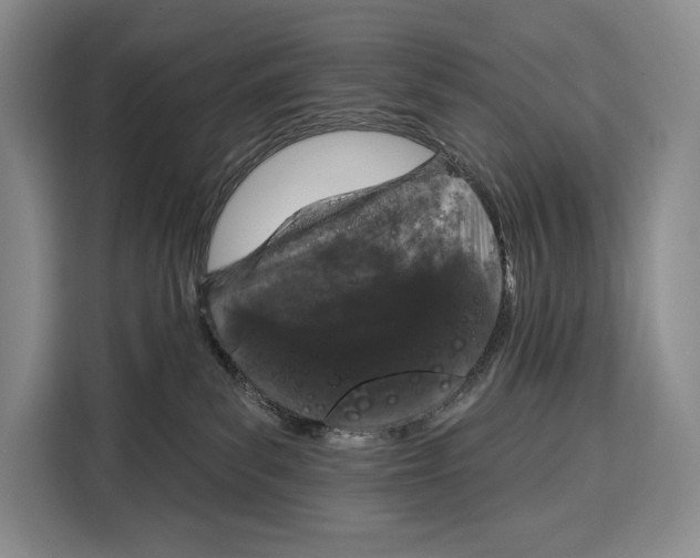 X0000115110139200911241335