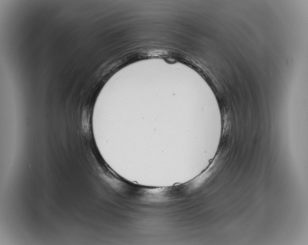 X0000115110140200911241335