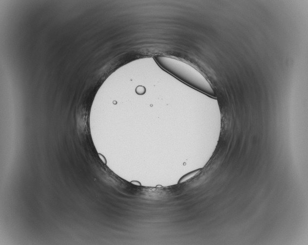 X0000115110141200911241335