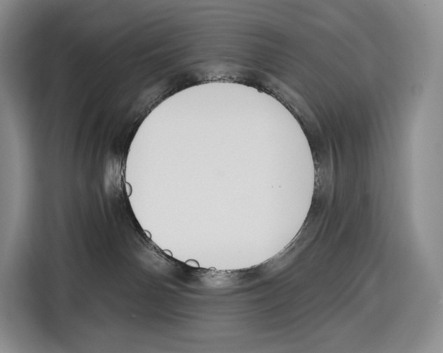 X0000115110142200911241335