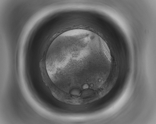 X0000115110143200911241335