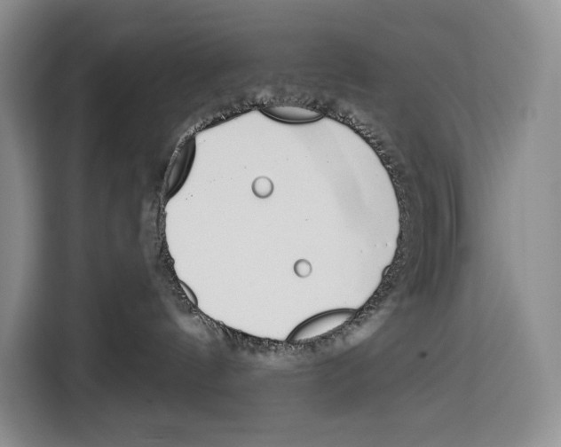 X0000115110144200911241335