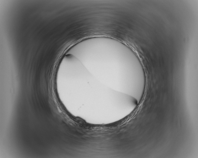 X0000115110145200911241334