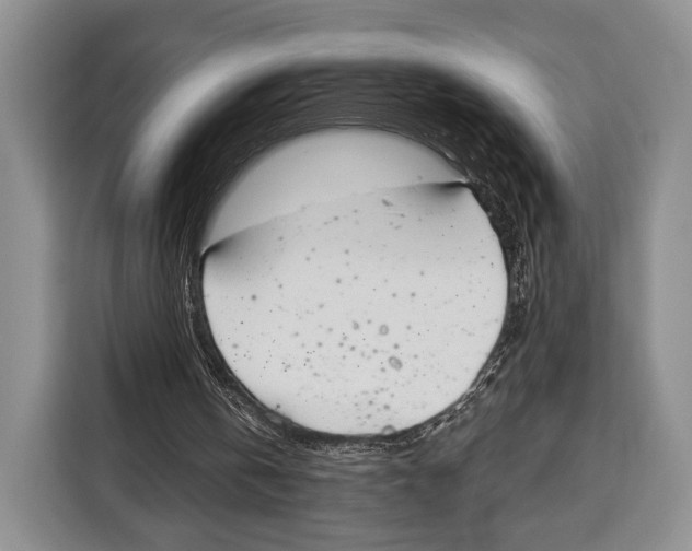 X0000115110146200911241334