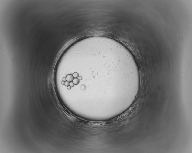 X0000115110147200911241334