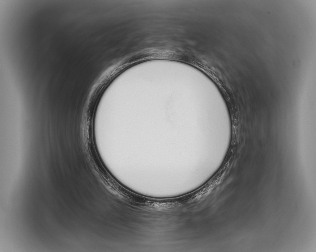 X0000115110149200911241334